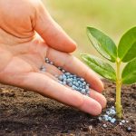 vybor udobreniy dlya sada i ogoroda