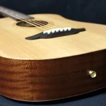 akusticheskaya gitara vash vernyy sputnik v mire muzyki