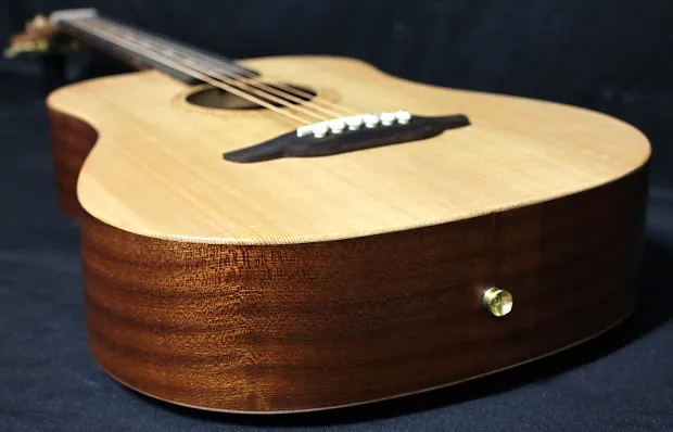 akusticheskaya gitara vash vernyy sputnik v mire muzyki