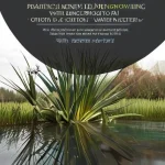 Практические методики для улучшения психического здоровья через осознанное управление водным балансом и дневной активностью