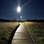 Сон на свежем воздухе: как прогулки перед сном влияют на качество отдыха и общее психическое здоровье.