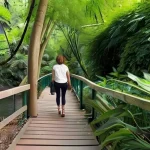 Как связь с природой влияет на уровень стресса и общее психическое здоровье: практики дляurban jungle.