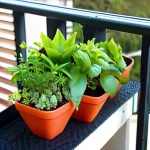 Создайте мини-сад на балконе с съедобными растениями для улучшения питания и создания уютной атмосферы в городской среде.