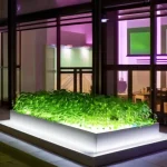 Как использовать мини-зеленые уголки и ростки для зарядки энергии и улучшения настроения в городской среде