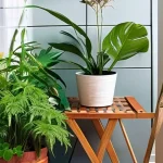 Создайте "зеленый уголок" дома с растениями для улучшения воздуха и эмоционального состояния, интегрируя уход за ними в повседневную рутину.