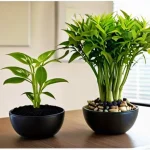 Реализуйте "зеленые паузы" на работе: обустройте мини-садик на столе для отдыха глаз и расслабления ума.