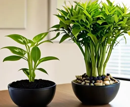 Реализуйте "зеленые паузы" на работе: обустройте мини-садик на столе для отдыха глаз и расслабления ума.