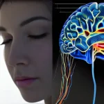 Исследование нейропластичности: как регулярная практика медитации формирует новые нейронные связи и улучшает эмоциональное здоровье.