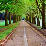 Эко-пешеходные маршруты: как создать маршрут активности по местным паркам и зелёным зонам для выходных с друзьями.