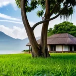 Перспективные стартапы в сфере экотуризма: обзор проектов, меняющих отношение к путешествиям и охране окружающей среды.